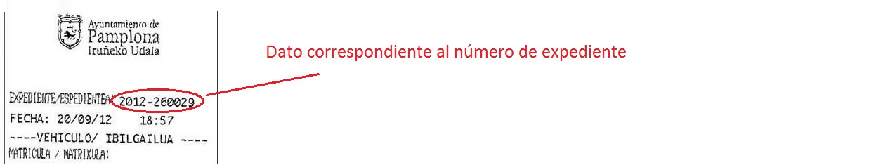 Ejemplo de denuncia de la zona azul