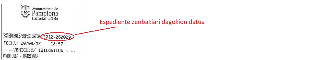Eremu urdineko salaketaren adibidea